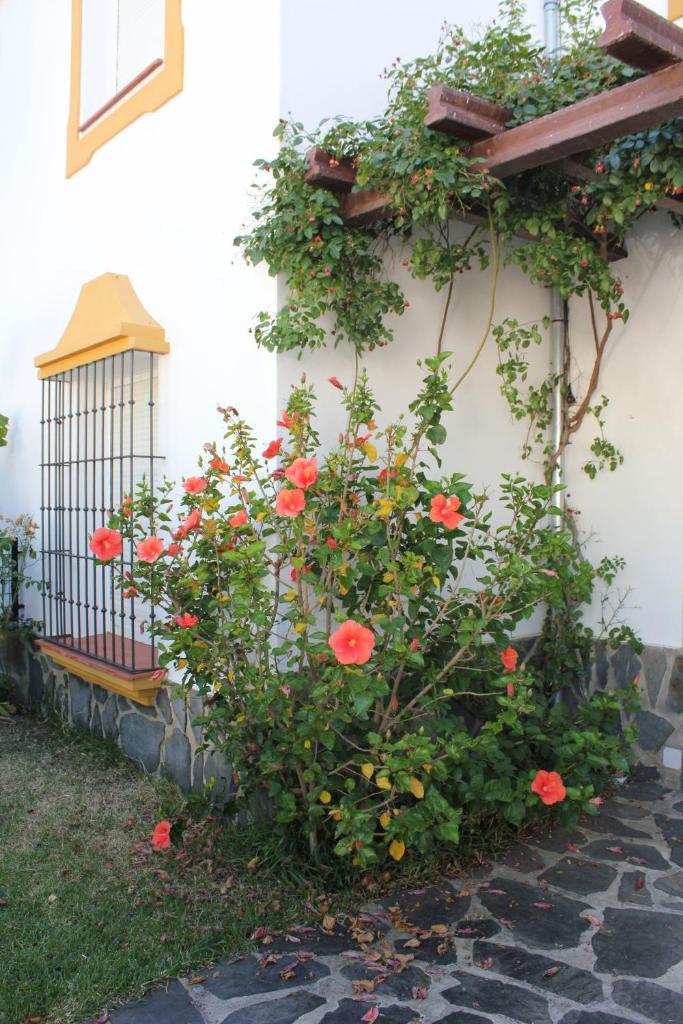 Casa Gil - La Vega photo 1