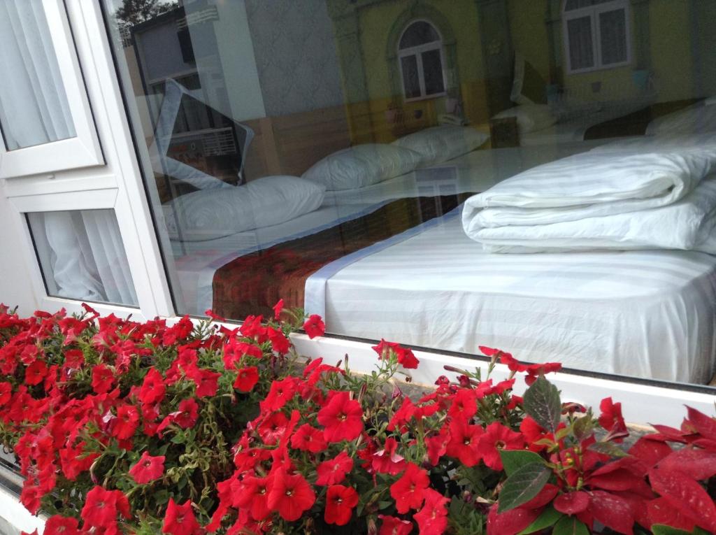 Mr Rot's Secret Hotel