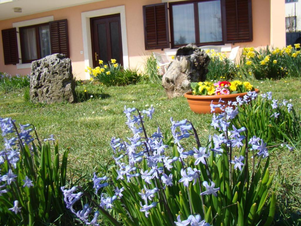 Apartman Poldrugovac photo 2