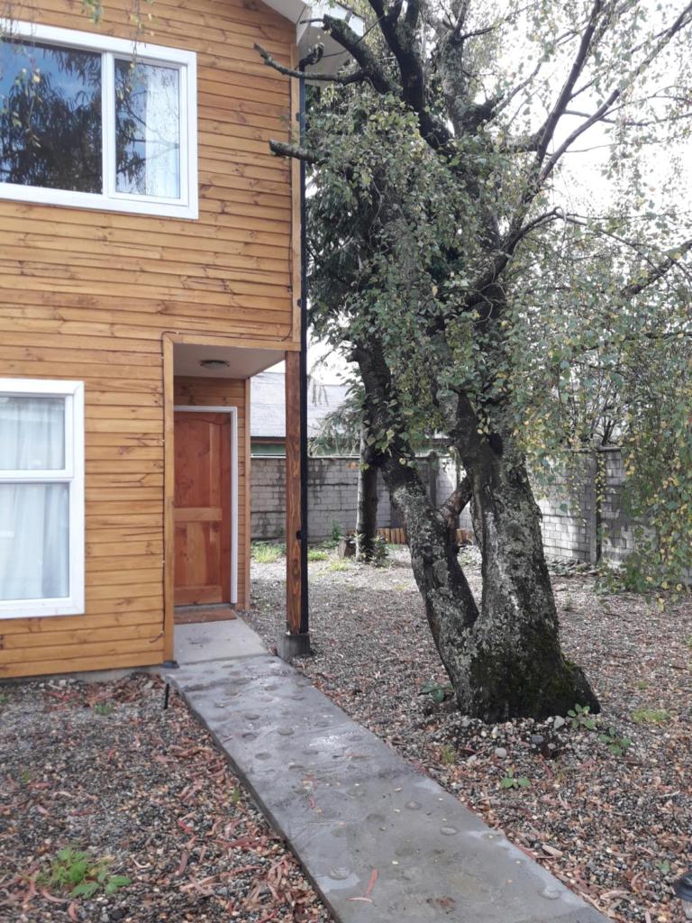 Patagonia Oley photo 2