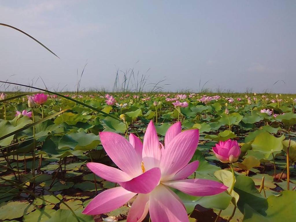 Lungcha Homestay photo 3