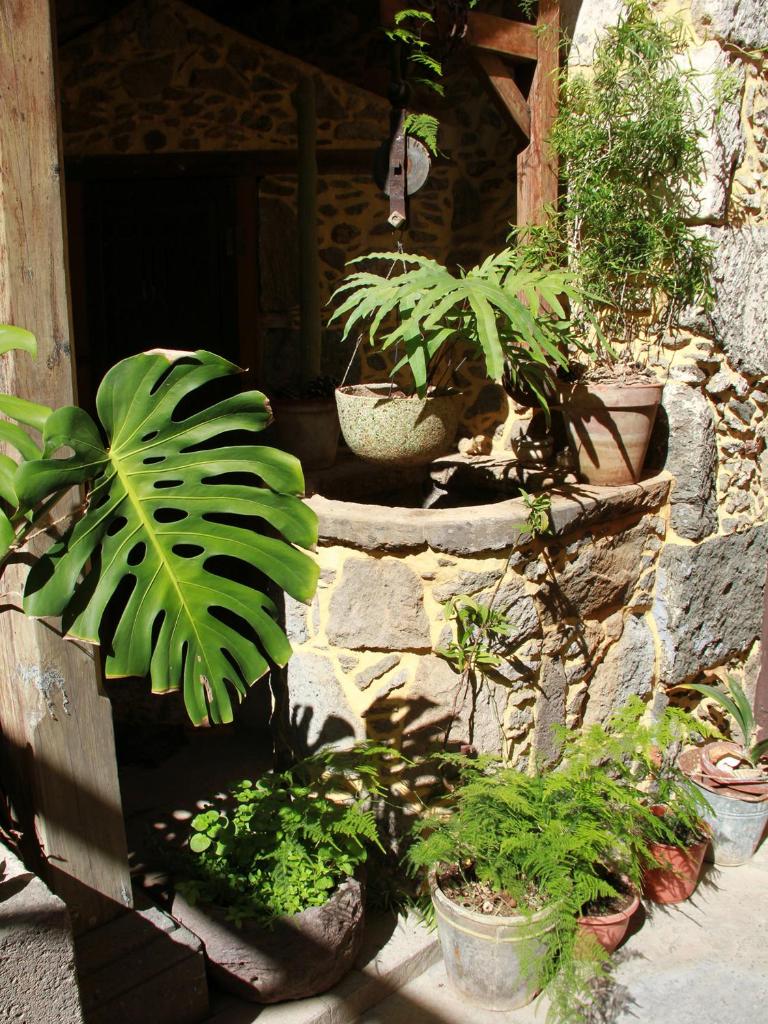 Casa Rural La Pileta - Bentejui photo 1