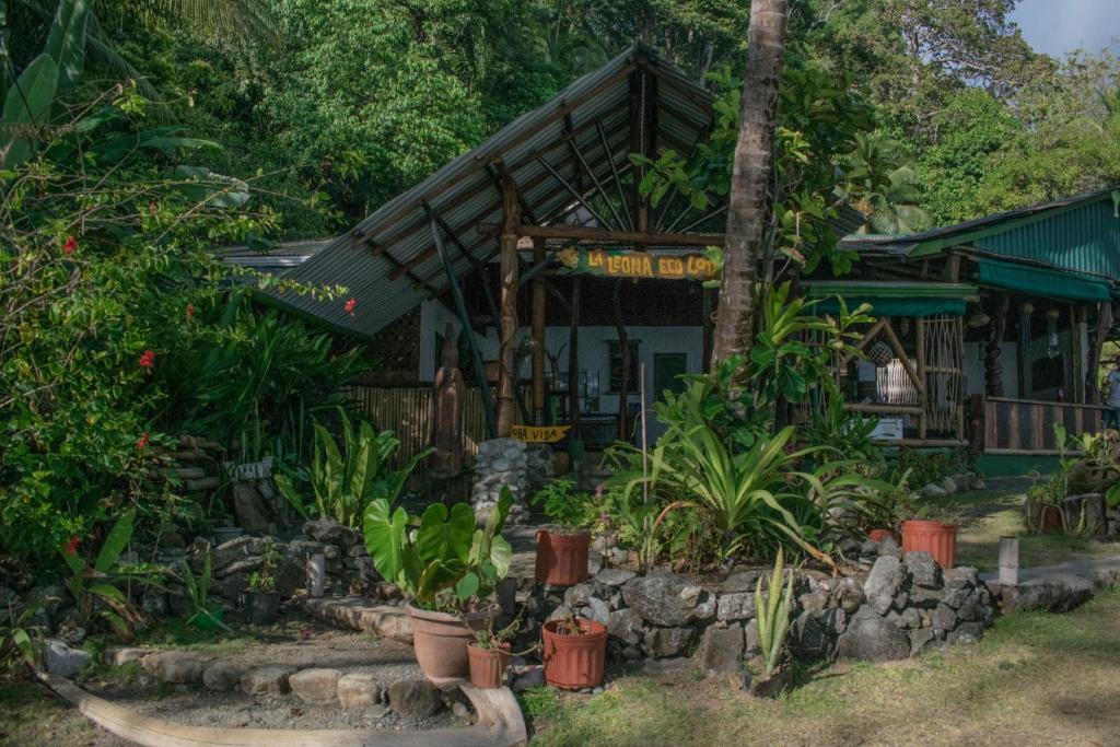 La Leona Eco Lodge photo 3