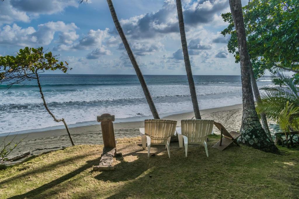 La Leona Eco Lodge photo 2