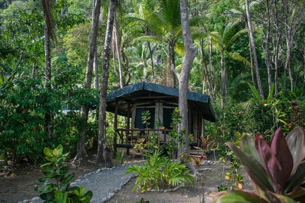 La Leona Eco Lodge photo 4
