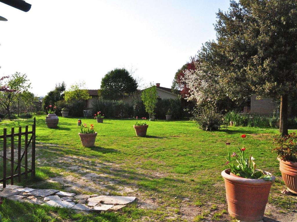 Pinuccio photo 2