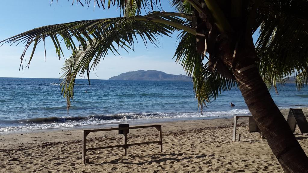 Hotel La Palapa photo 3