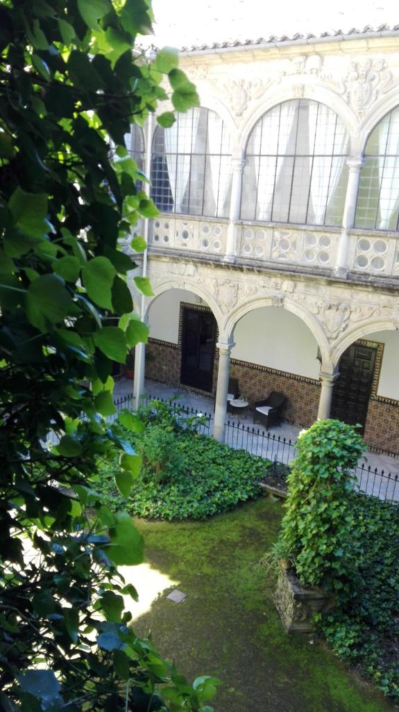 Palacio de la Rambla photo 4
