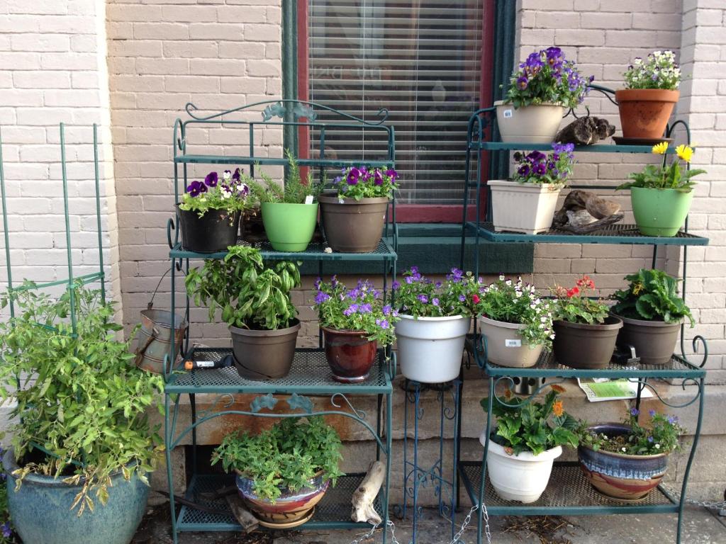 Main Street Bed & Breakfast photo 3