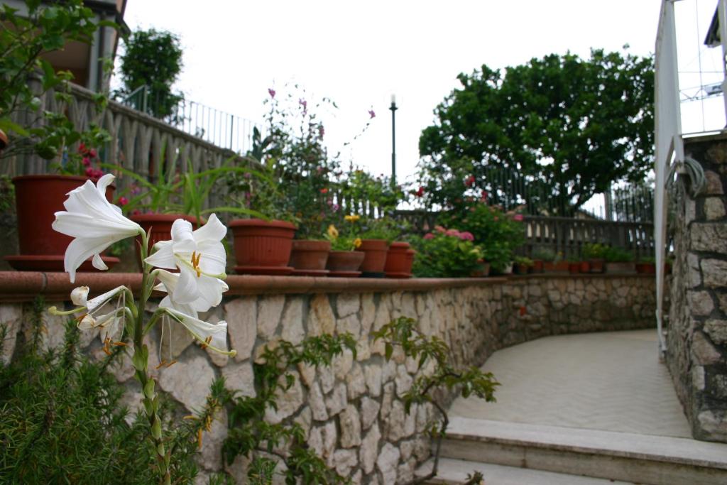B&B La Baia Di Fiascherino citr01101sei-BEB-0011 photo 1