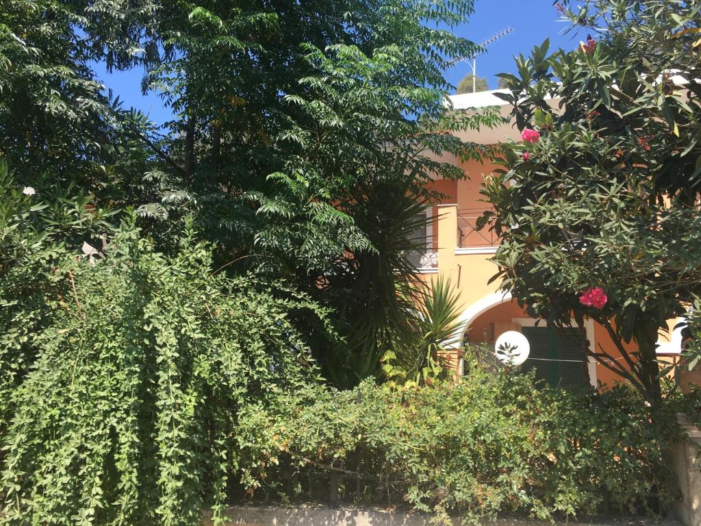 Floros Apartments photo 4
