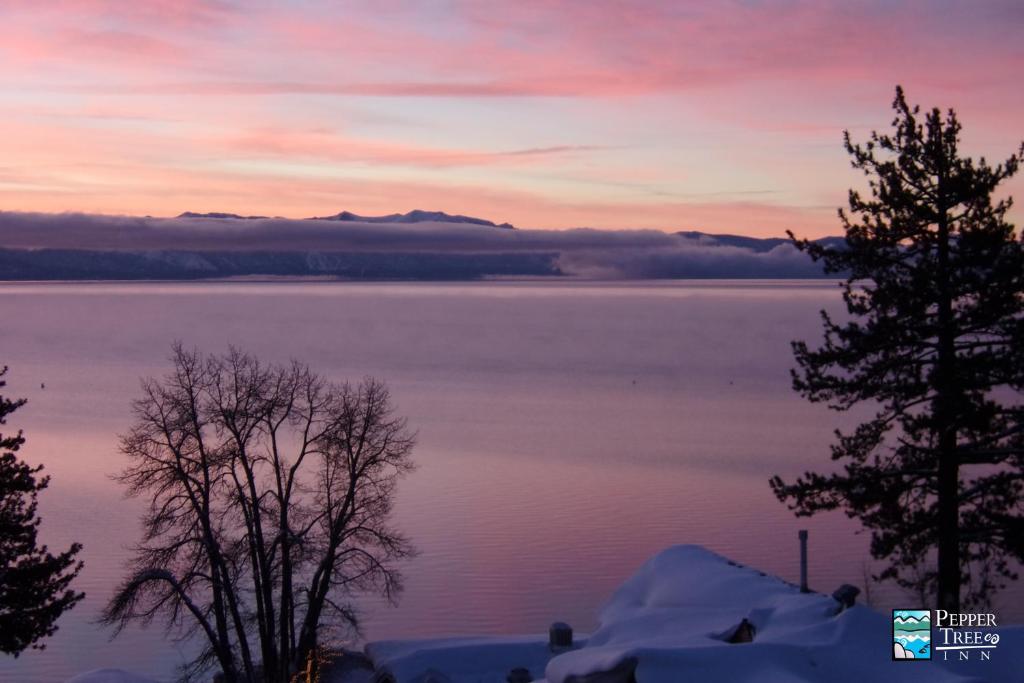 Pepper Tree Inn Tahoe City photo 3