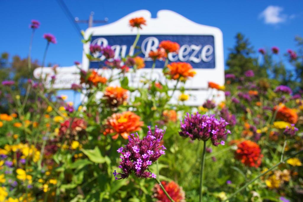 Bay Breeze Resort image