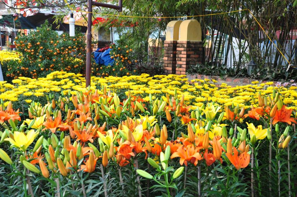 Tra Que Riverside Homestay