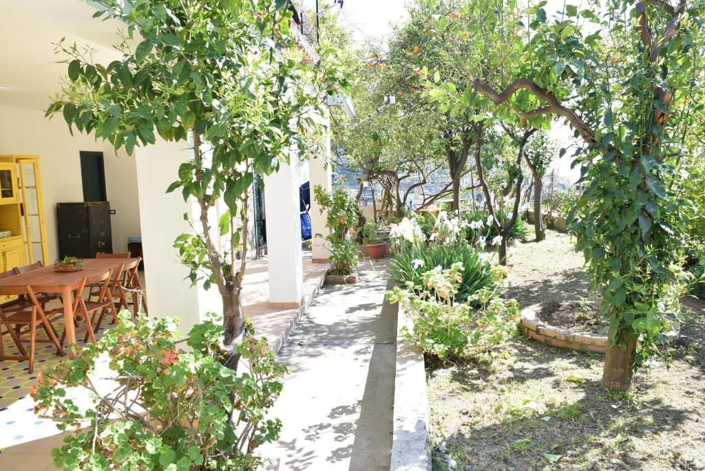 Villamena Apartment photo 4