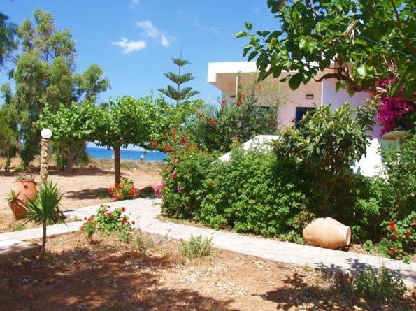 Fragokastello Star, Crete