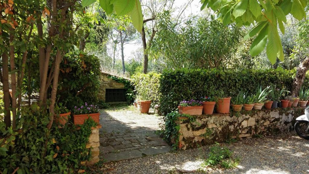 Poggio alla Scaglia photo 3