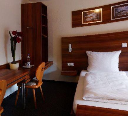 Одноместный (Стандартный одноместный номер), Hotel zum Neckartal Heidelberg