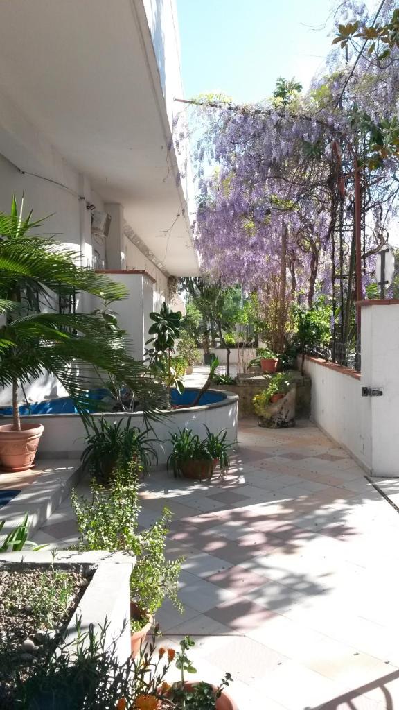 Hotel Calla' photo 2