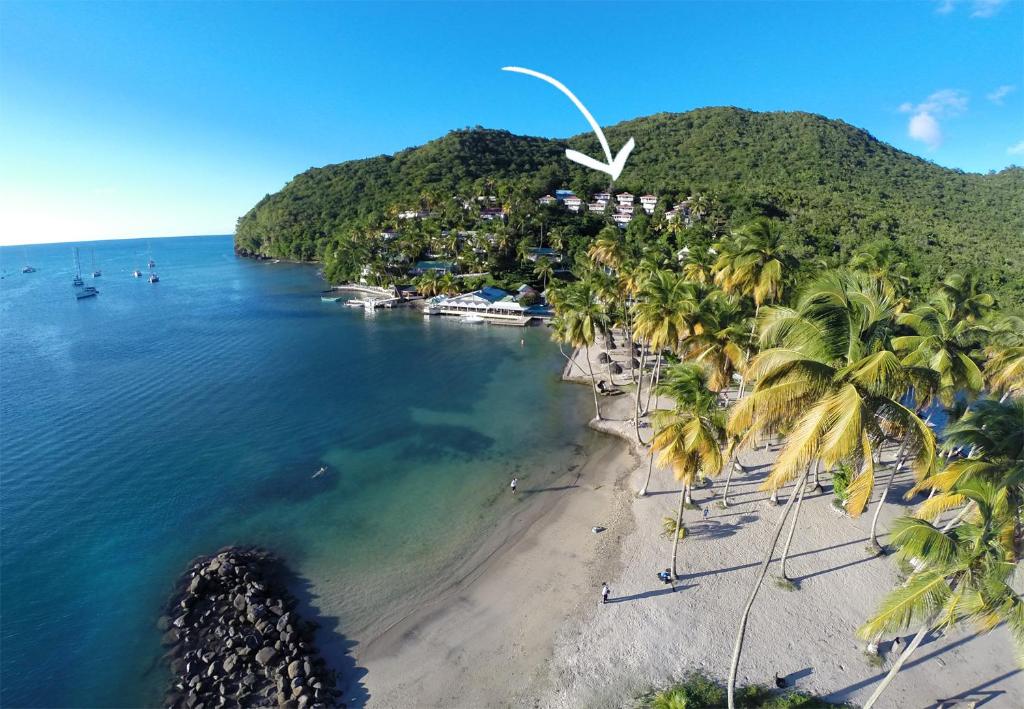 Oasis Marigot photo 1