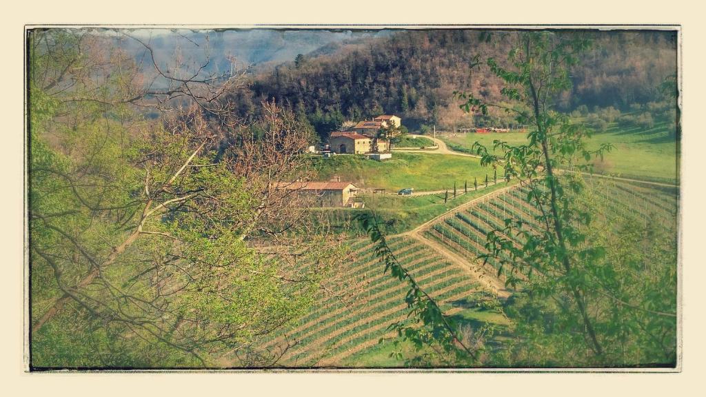 Borgo Macereto photo 2