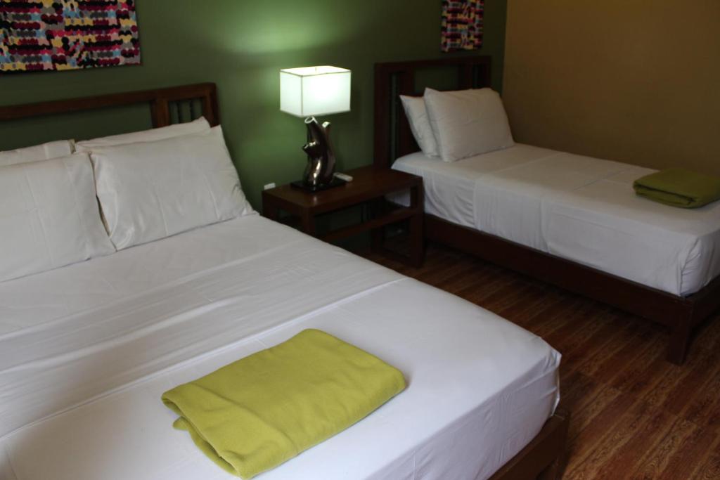 Purple Tree Bed & Breakfast photo 4