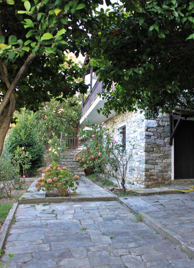 Villa Magnolia photo 2