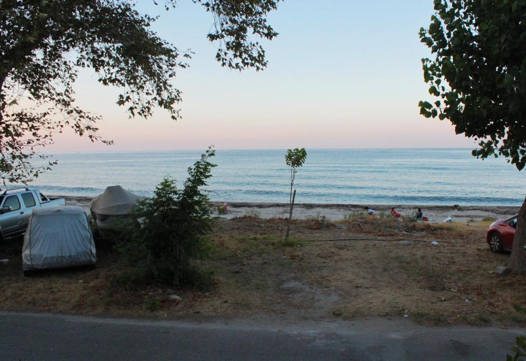 Villa Magnolia photo 4