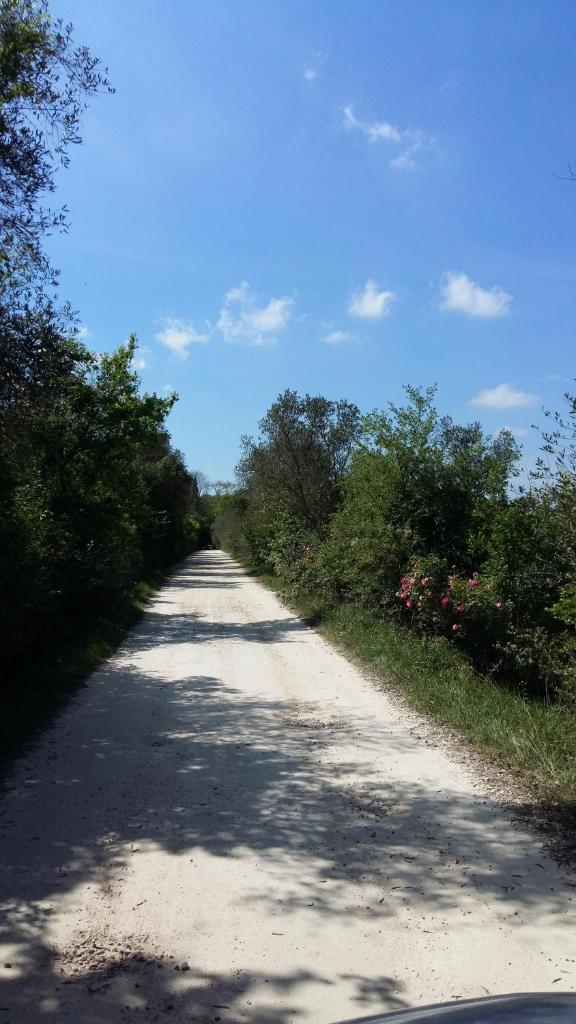 Poggio alla Scaglia photo 1