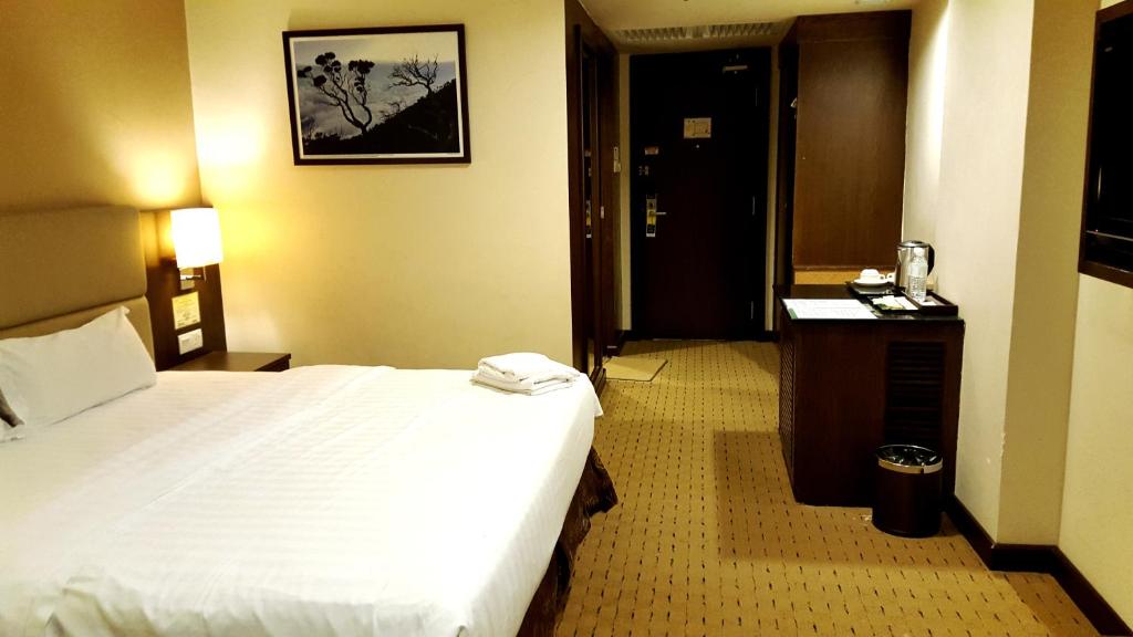 Двухместный (Улучшенный номер с кроватью размера «king-size»), Lintas View Hotel