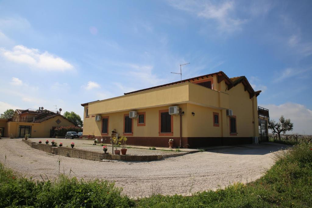 Grappoli di Sole photo 4