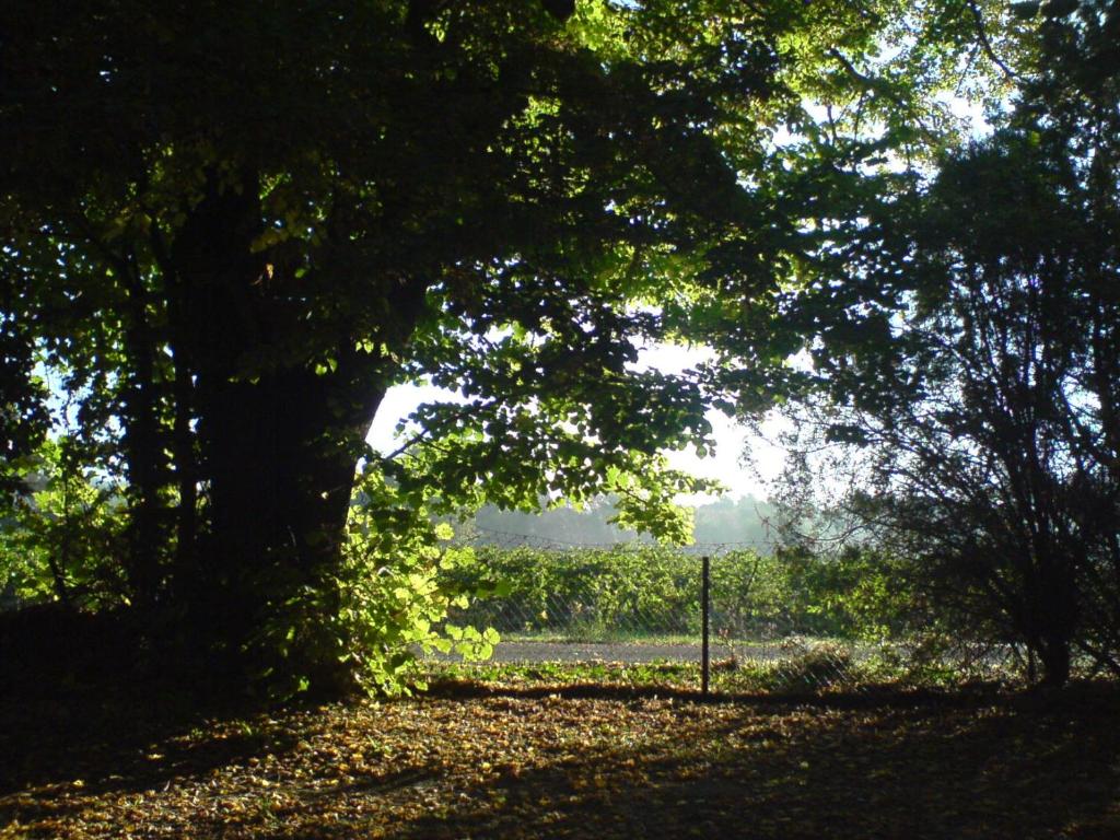Le Bargidou photo 2