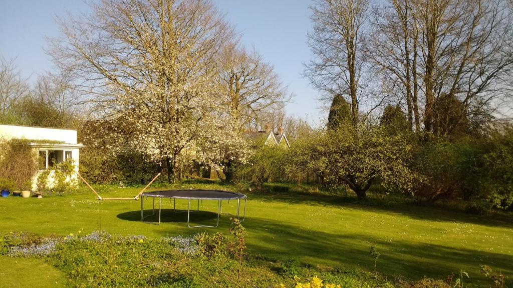 Robin Hill Cottage photo 4