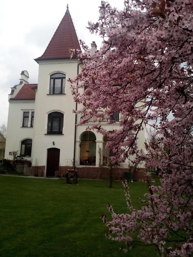 Villa Liduška s kavárnou photo 2