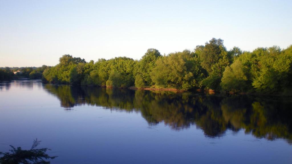 Le Manoir de la Riviere photo 4