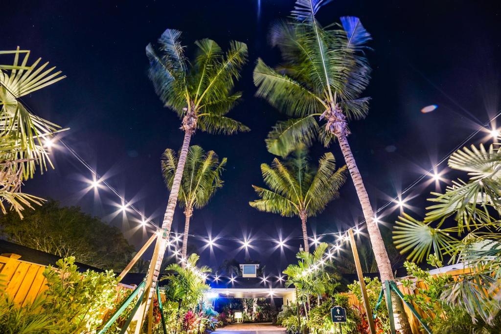 Siesta Key Palms Resort photo 1