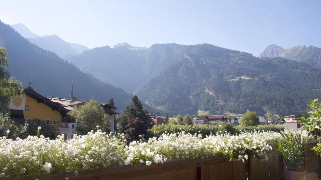 Одноместный (Одноместный номер), Hotel Landhaus Carla