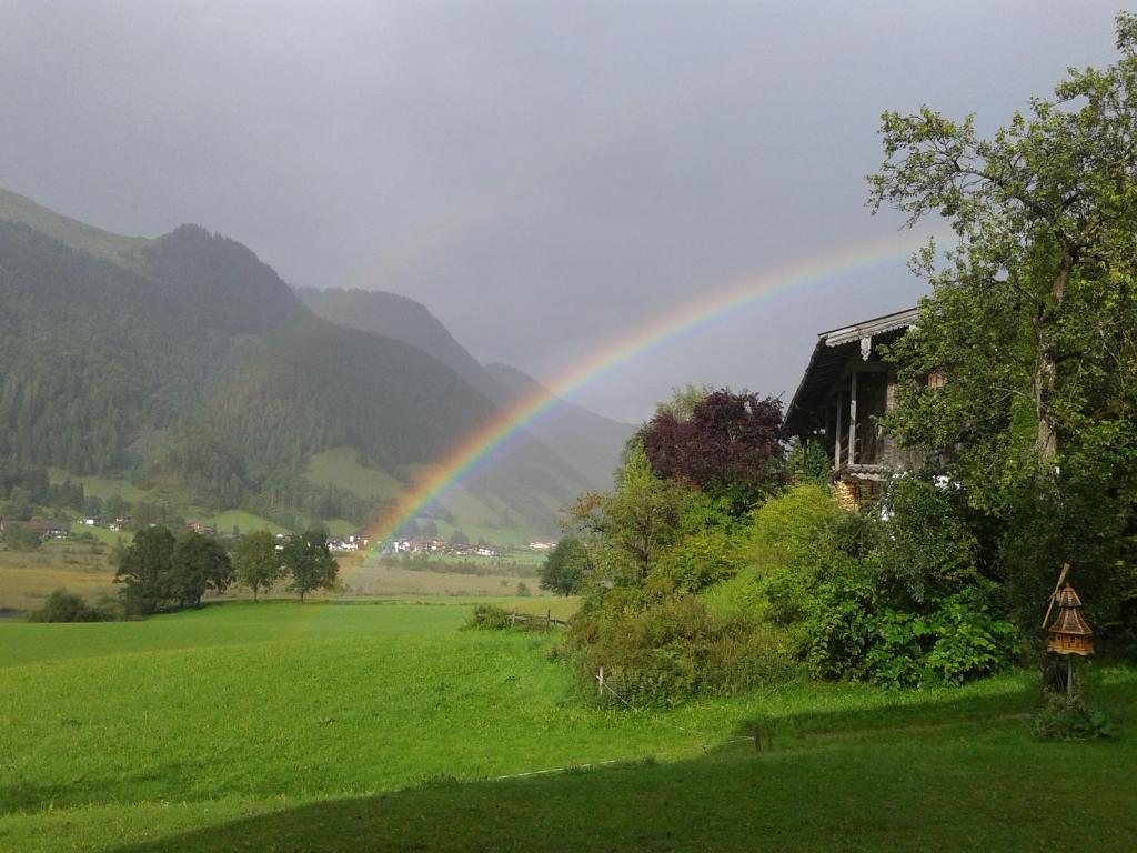 Hinterankerwald photo 4