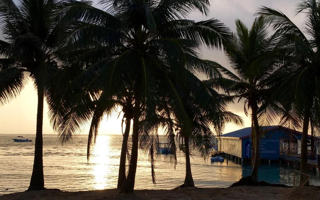 The Palapa House photo 2