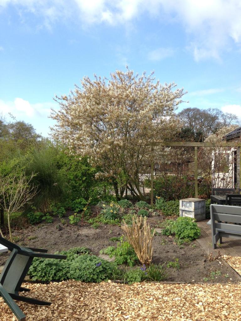 B&B Op Kolderveen photo 3
