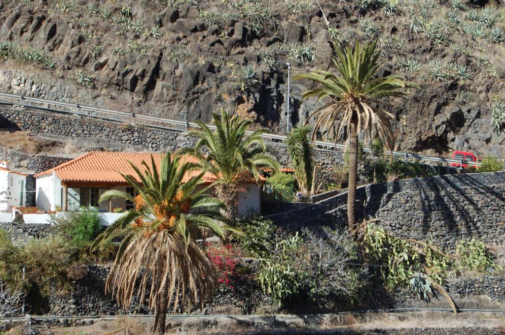 Casa el Anden photo 3