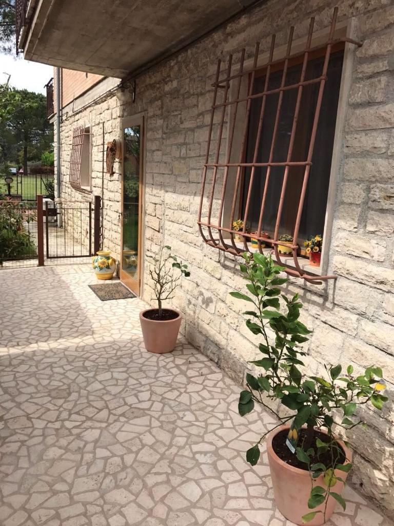 C'era una volta photo 3