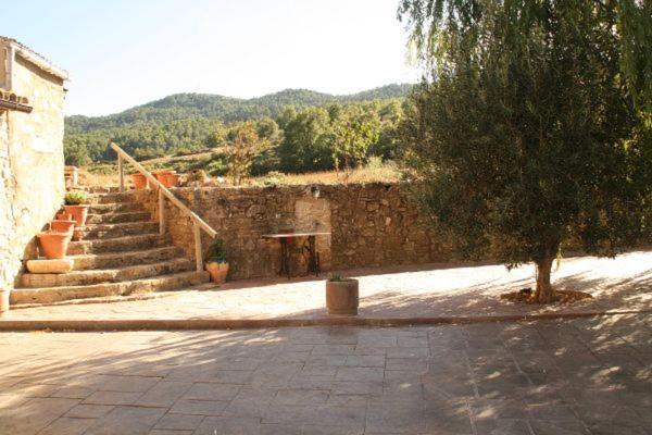 Cal Riba photo 4
