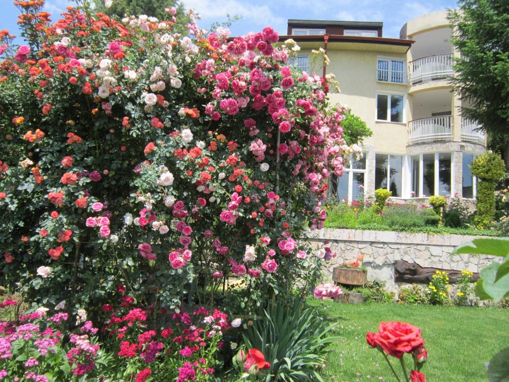 Guest house Bankya photo 2