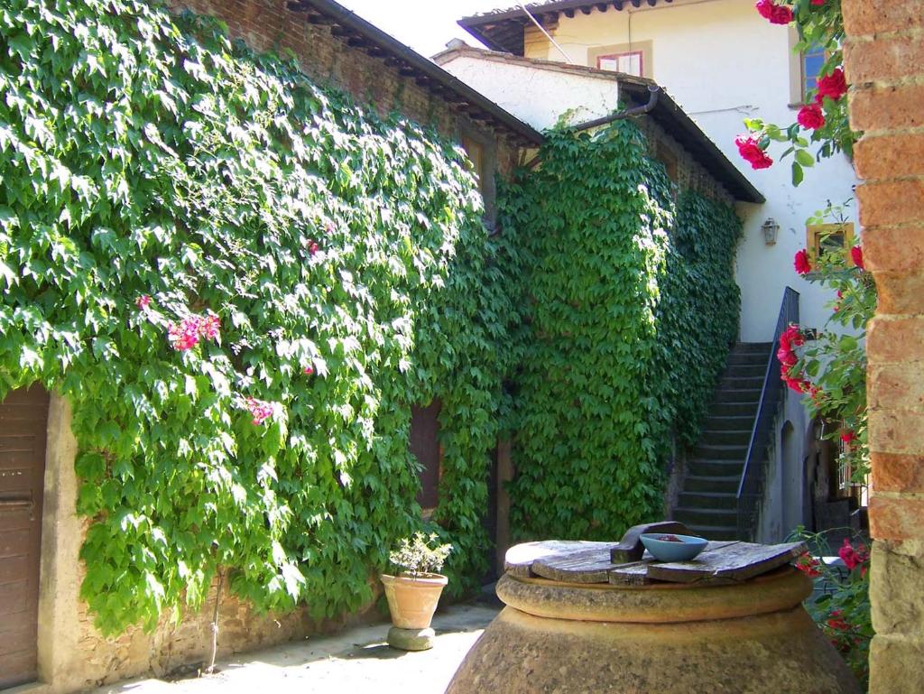 Fattoria di Mandri photo 2