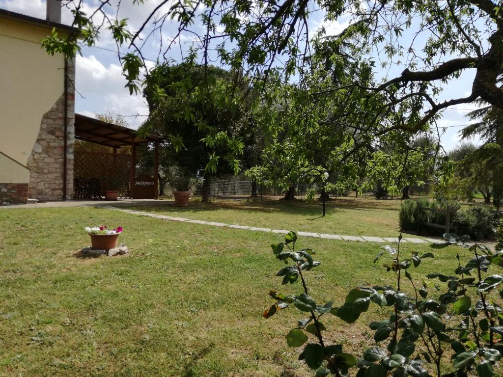 Agriturismo Podere Selvette photo 2