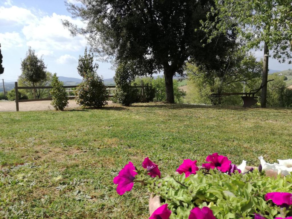 Agriturismo Podere Selvette photo 1
