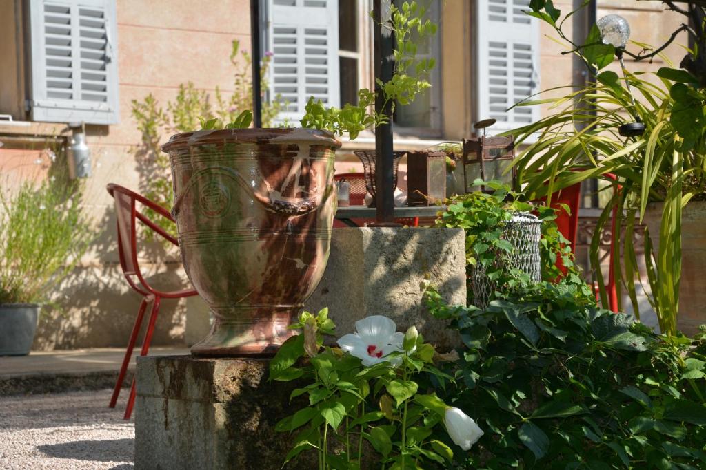 Les Passiflores photo 3