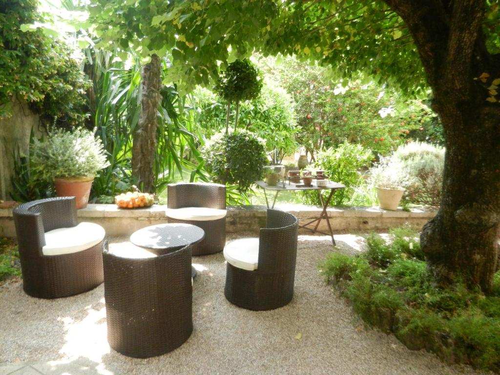 Les Passiflores photo 4