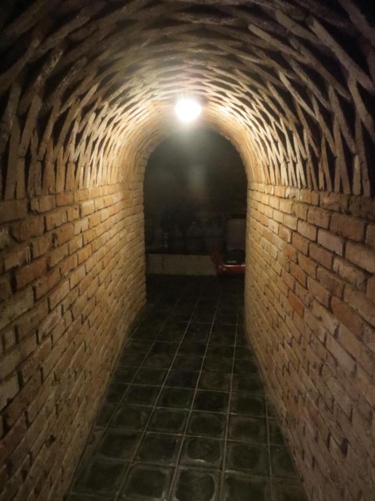 U Vinařství photo 3